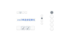 CSS3单选和复选按钮美化代码