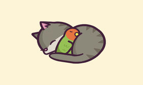 CSS3绘制睡觉的猫咪特效